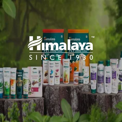 Our Work – Seventh Triangle