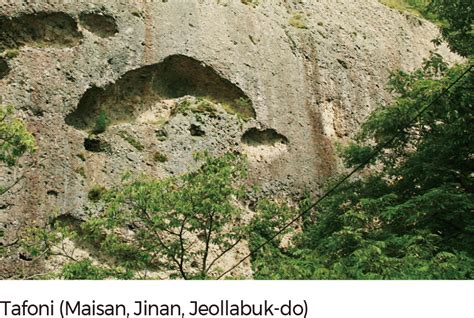 Topographic Surface 的图像结果