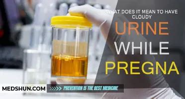 Understanding Poc Pregnancy Tests | MedShun