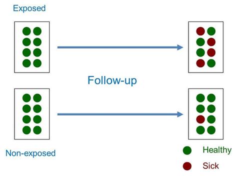 Cohort Program 的图像结果