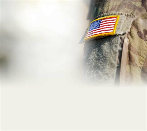 Pest Management Services | Yankee Pest Control