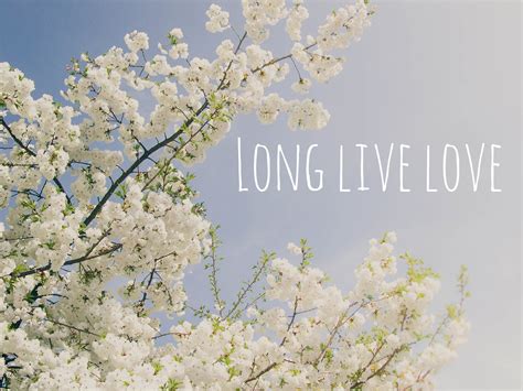 Long Live Love