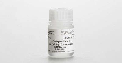 Angiogenesis Research Process in Cancer | Research, Resources, and ...