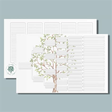 Genealogy Treasure Chest Family Tree - 2-Pack - India | Ubuy