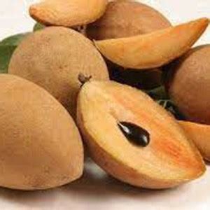 naturehils Chalisa Chikoo, Sapota, Sapodilla, Naseberry Seed, Sobeda ...
