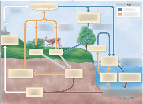 Cycle Graph Template 的图像结果