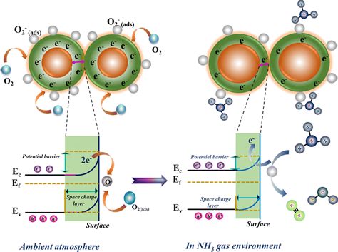 Carbon and cobalt co-doped ZnO thin films for highly sensitive and ...