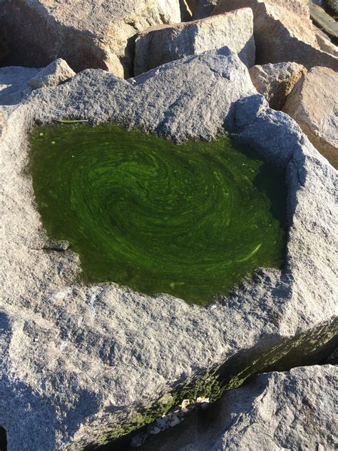 I found a portal in real life : r/rickandmorty