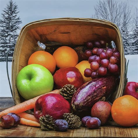 Winter Fruits & Vegetables? Here's What You Can Grow! - PurePly