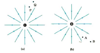 Figures 2.8 (a) and (b) show the field lines of a positive and negative ...