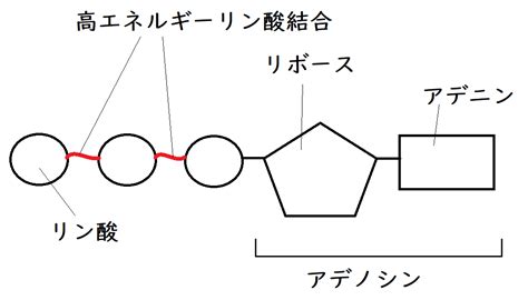 Image result for Data Structures Complexity
