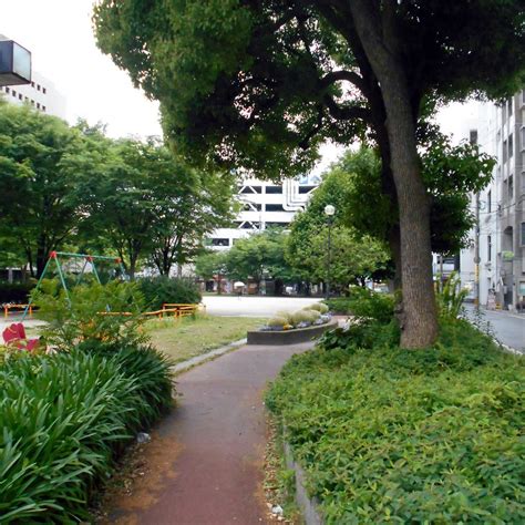 NINJIN PARK (2026) All You Need to Know BEFORE You Go (with Photos ...