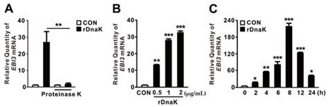 IJMS | Special Issue : Evolution and Function of the Hsp70 and Hsp90 ...