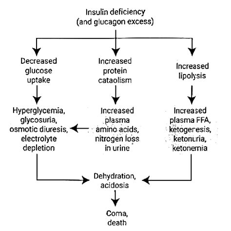 Hormones - Medical Science Optional Notes for UPSC PDF Download
