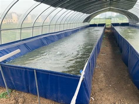 保修2年 循环水养殖养鱼池 室内大型工厂化PP塑料水池-阿里巴巴