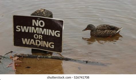 Break Rules 的图像结果