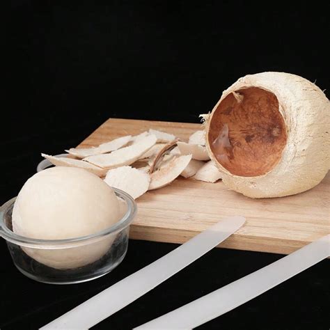 Outil de creusage de noix de coco en plastique, grattoir amovible de ...