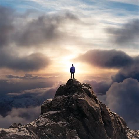 Tree to Paper Process 的图像结果