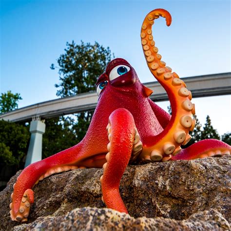 Image result for Nemo Octopus