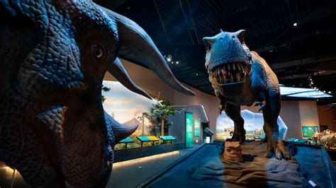 佛山保利中央公园恐龙主题3D立体画_广州墙绘艺术-站酷ZCOOL