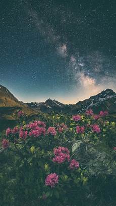 Nature Wallpaper Esthetic by Aesthetic Nature Wallpapers Top Free Aesthetic Nature Nature Wallpaper Esthetic