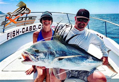 Exotic Fish Cabo - Sportfishing Charter (San Jose del Cabo) - All You ...