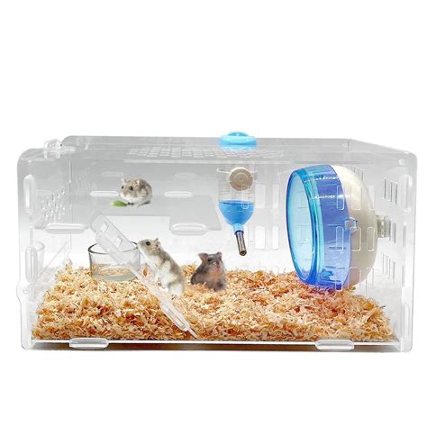 Dwarf Hamster Cages Amazon Amazon.com : Large 3 Levels Dwarf Hamster