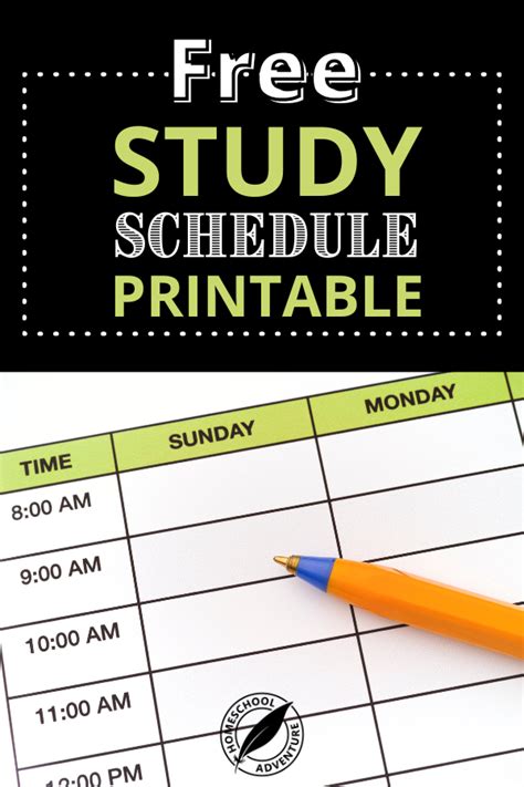 DIY Study Timetable 的图像结果
