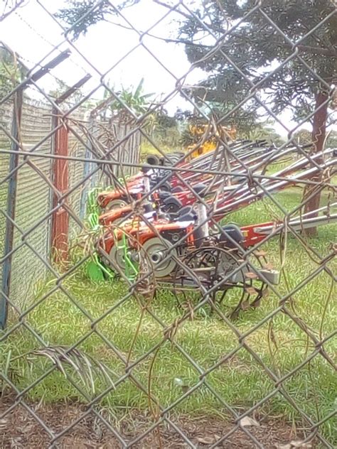 Shine FM - Ryeny Ba Acer (Shine Like A Star)