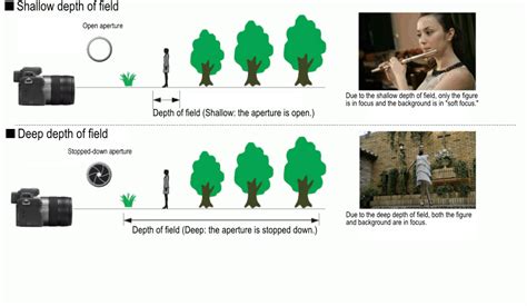 tips for composition in photography