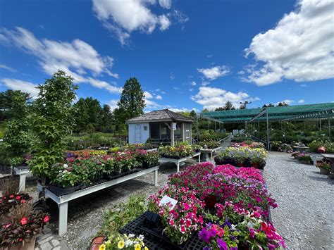 This Week at Gardner’s – Gardner's Landscape Nursery