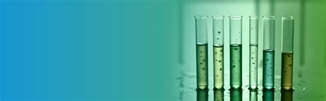 Explore Rochem’s innovative approach combining physio and chemical ...