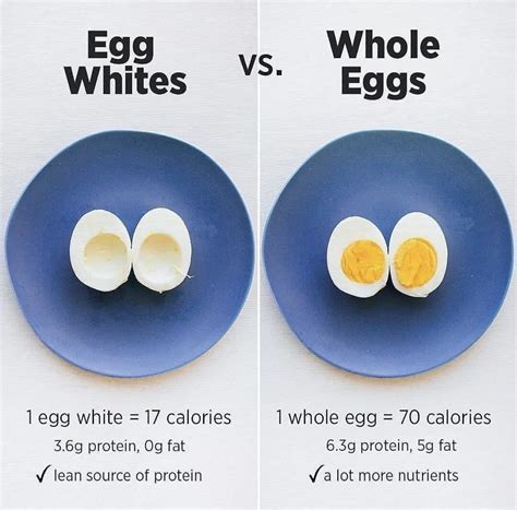 How Much Protein in 3 Eggs? Discover the Surprising Benefits ...