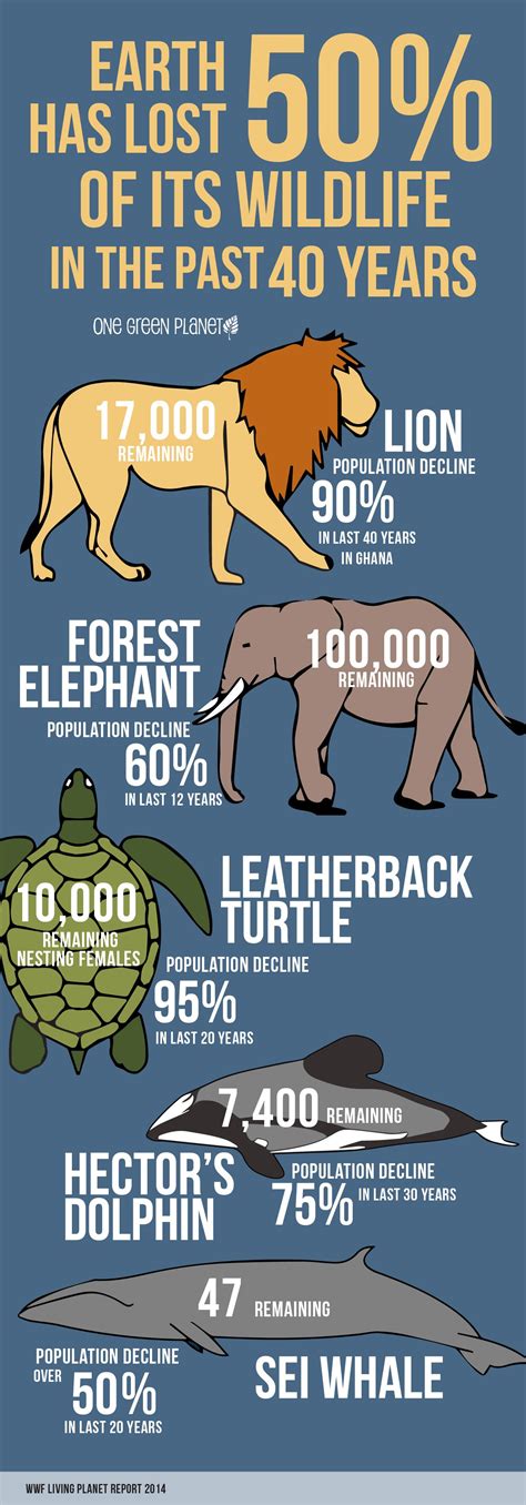 How Many Zoos Help Endangered Animals at Joel Flynn blog