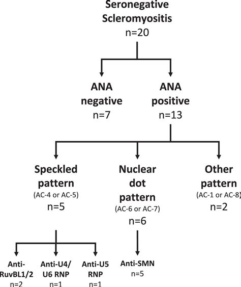 Recognising the spectrum of scleromyositis: HEp-2 ANA patterns allow ...