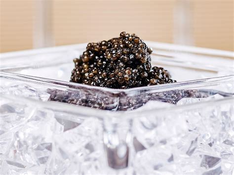 Best Caviar in the World | Best Types of Caviar | 2022 Updated