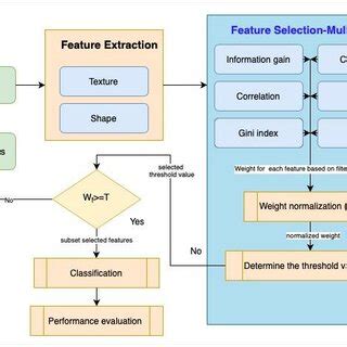 Filter Feature Selection 的图像结果