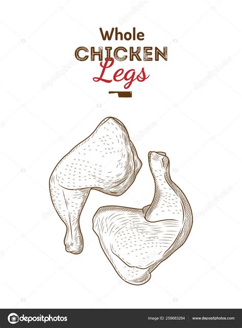 Chicken Leg Drawing