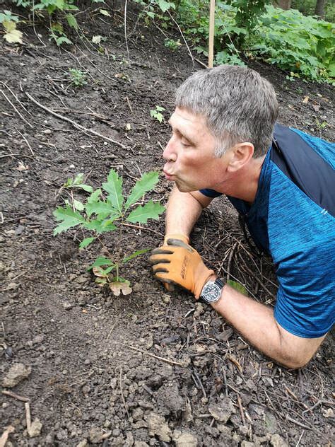 Image result for Planting Saplings Tutorial