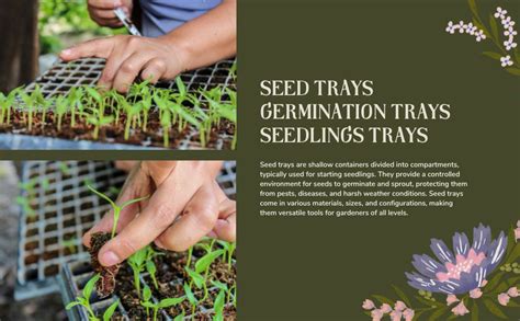 SUSHILA AGROFERT Seed Trays Kit 126 Cavity Set of 10 Seedling Trays for ...