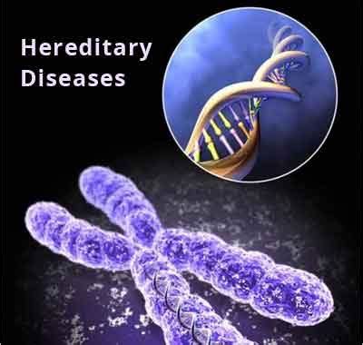 Why hereditary diseases are so hard to get rid of