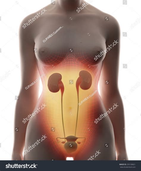Image result for Diffusion Model Animation Forward Process