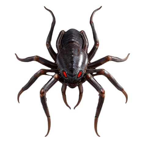 Image result for Alien Bug SCPS