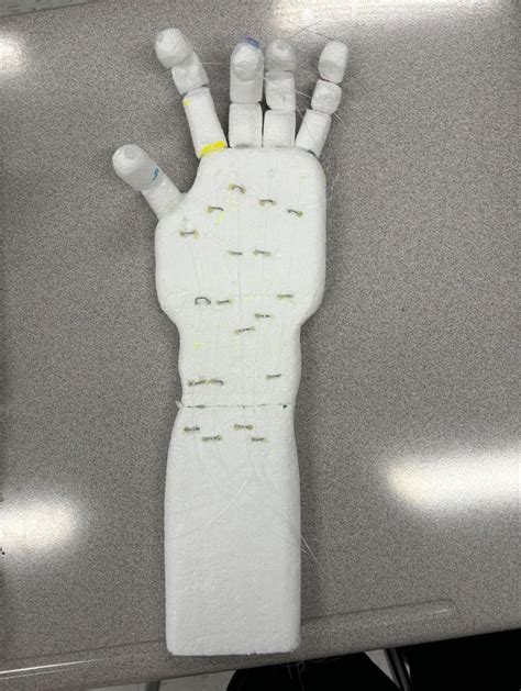 Hand Robot Project 的图像结果