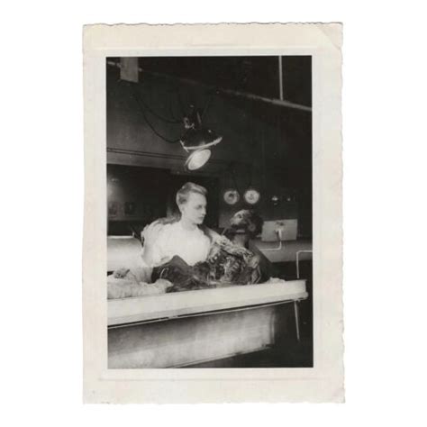 Image result for Dissection Human Postmortem