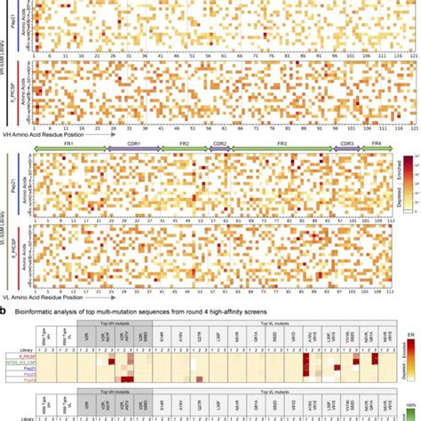 Variants Library NGS 的图像结果