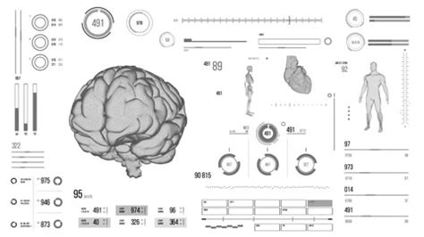 Image result for Human Brain Scan