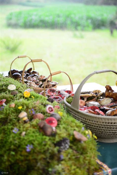 Yunye Tongqu Yunnan Dali Lijiang Shangri-La 6 days 5 nights parent ...