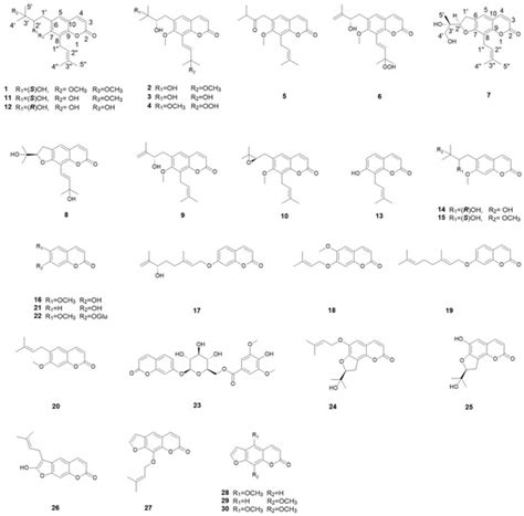 Discovery of Coumarins from Zanthoxylum dimorphophyllum var ...