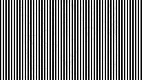 Optical Illusions for Testing Your IQ: Can you spot the hidden Cat ...